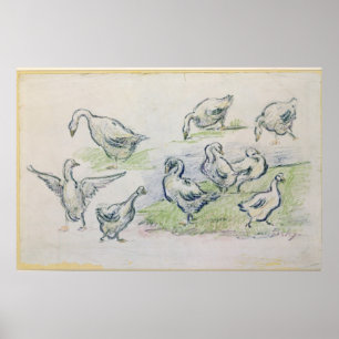 Póster Patos de Alfred Sisley