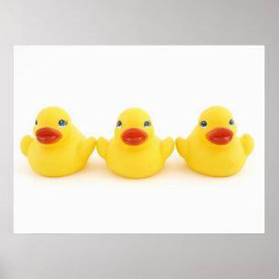 Poster Patos de borracha amarela