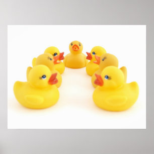 Póster Patos de Borracha Amarelos