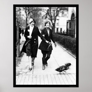 Poster Patos de passeio em Washington, C.C. 1926