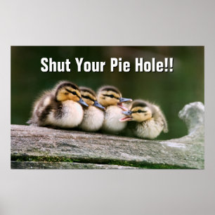 Póster Patos do bebê