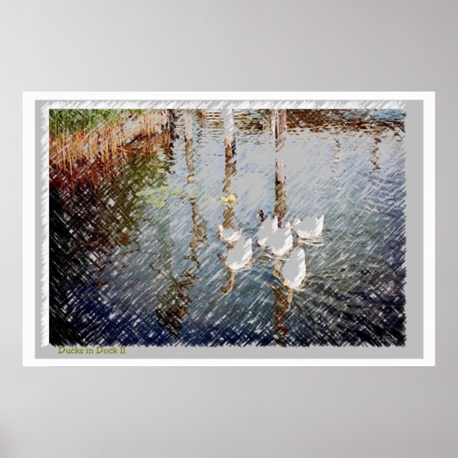 Póster Patos em Dock ll (Frente)