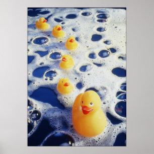 Poster Patos em seguido