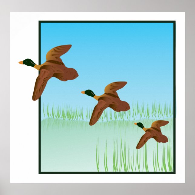Póster Patos em um Pond (Frente)