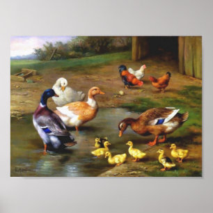 Póster Patos Galinhas Aves Pintura