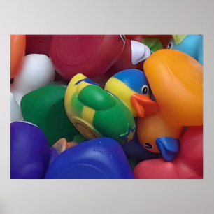 Poster Patos Ken Gage Fotografia