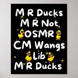 Poster Patos M R Engraçados M R Não Osmr Cm Wangs Lib M R