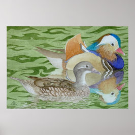 Poster Patos mandarins em um lago