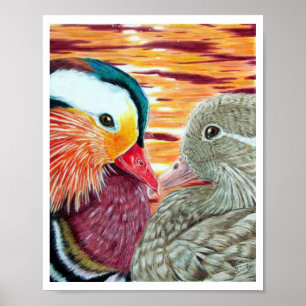 Póster Patos no amor