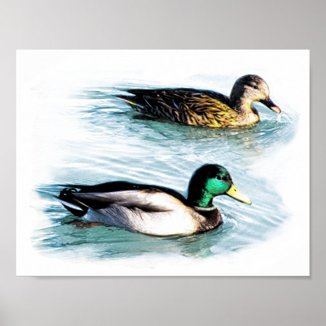 Poster Patos no lago (Frente)