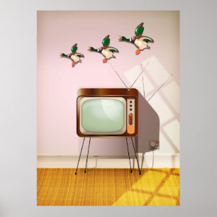 Póster Patos Porcelaneses na Parede