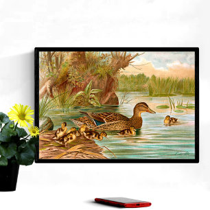 Poster Patos Vintage No Pond 2
