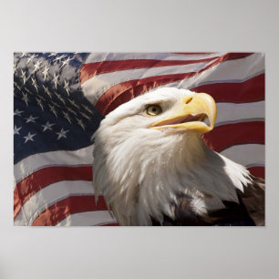 Póster Patriotic Eagle Canvas Print