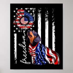 Poster Patriótico 4 de Julho Salsicha Dachshund Cão Liber