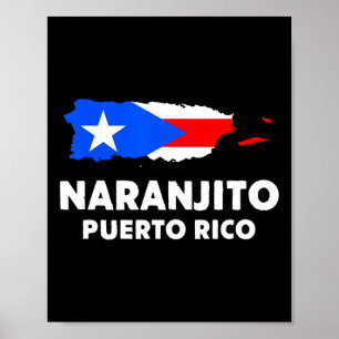 Poster Patriótico Bandeira dos Estados Unidos Naranjito