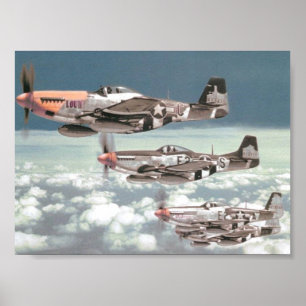 Poster Patrulha do mustang
