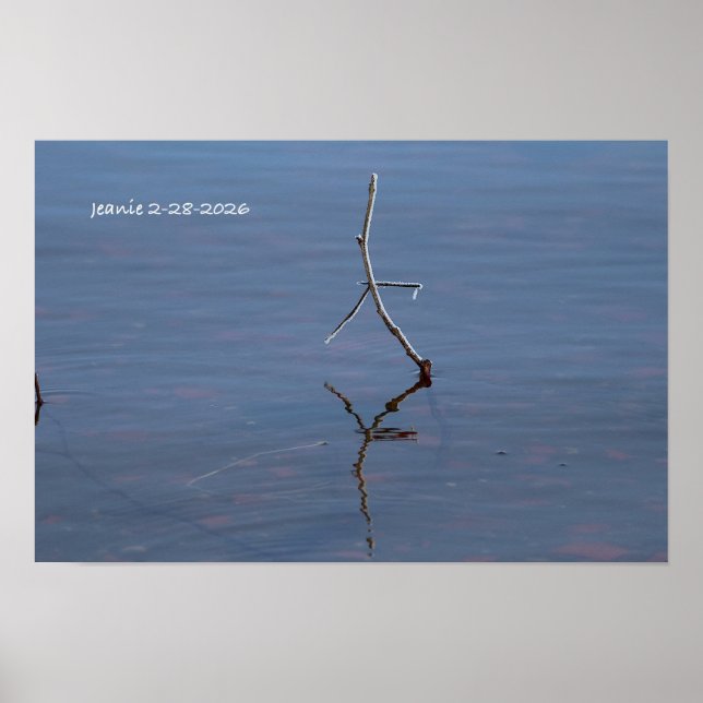 Poster Pau na água (Frente)