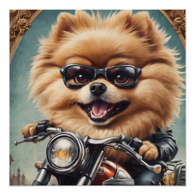 Póster Paulie, o Pomeraniano (Frente)