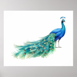 Poster Pavão