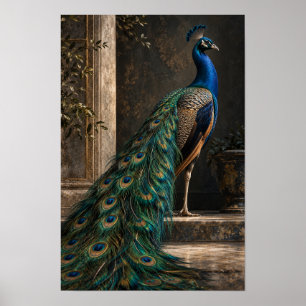 Poster Pavão Azul com Cauda Iridescente em Gar clássico