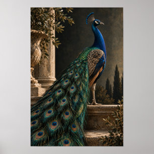 Poster Pavão Azul com Cauda Iridescente em Gar clássico
