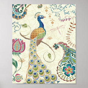Póster Pavão bonito