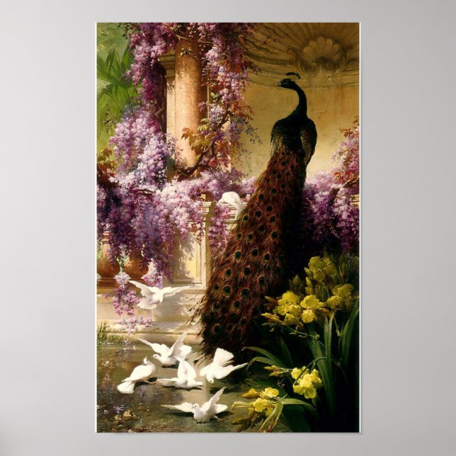 Poster Pavão E Vovó Num Jardim Cerca De 1888 (Frente)
