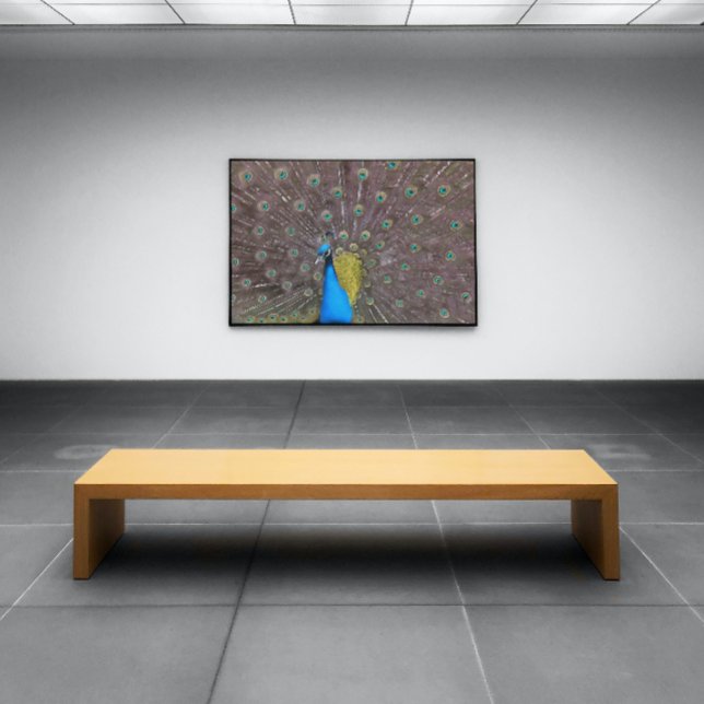 Poster Pavão Elegante A Azul Com Cauda Em Banho (Criador carregado)