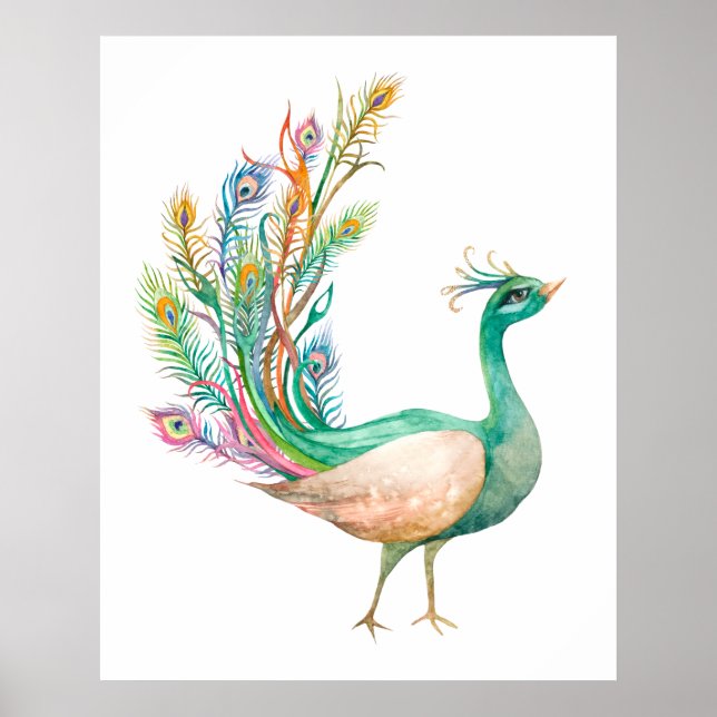 Poster Pavão em Aquarela (Frente)
