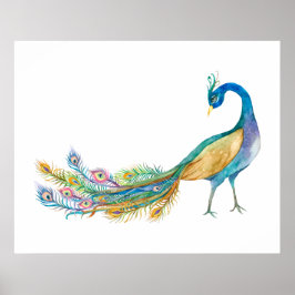 Poster Pavão em Aquarela II