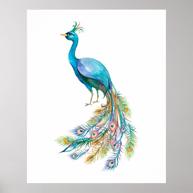 Poster Pavão em Aquarela III (Frente)