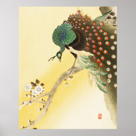 Poster Pavão Na Árvore Do Flor De Cereja