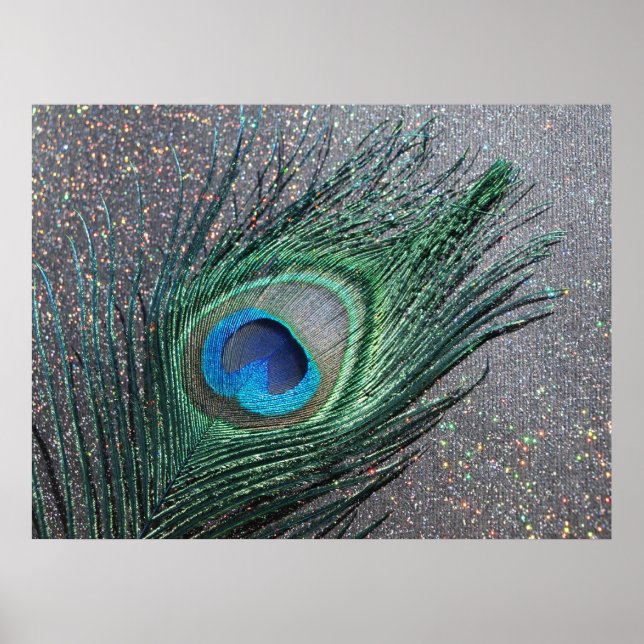 Póster Pavão Negro Esparvo Pavão Vida Estática (Frente)