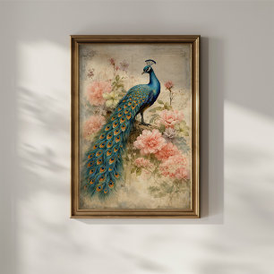 Poster Pavão Vintage