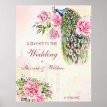 Pavão vitoriano, rosas rosa-rosa-vindas