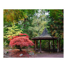 Pavilhão do Jardim Japonês e Folhas de Outono