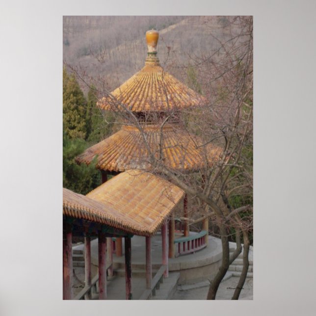 Poster Pavilion (Frente)