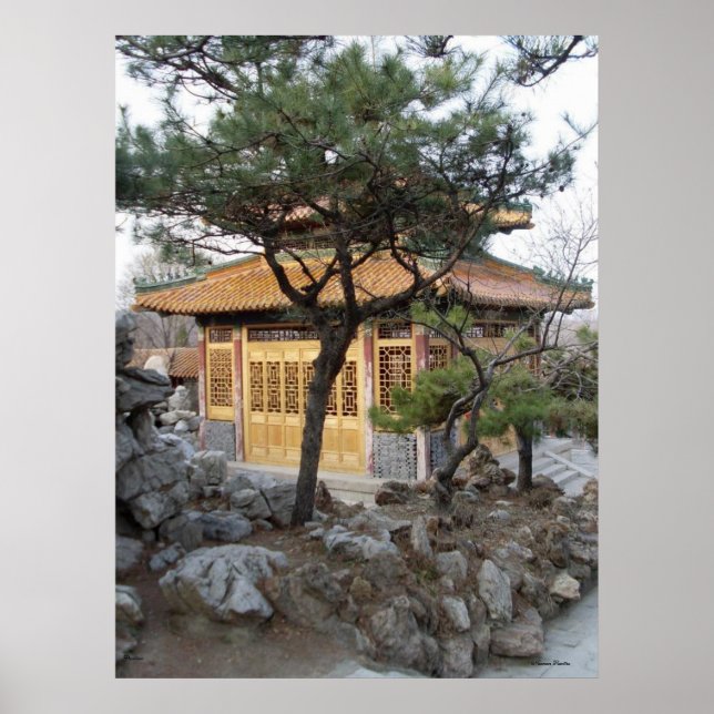 Poster Pavilion (Frente)