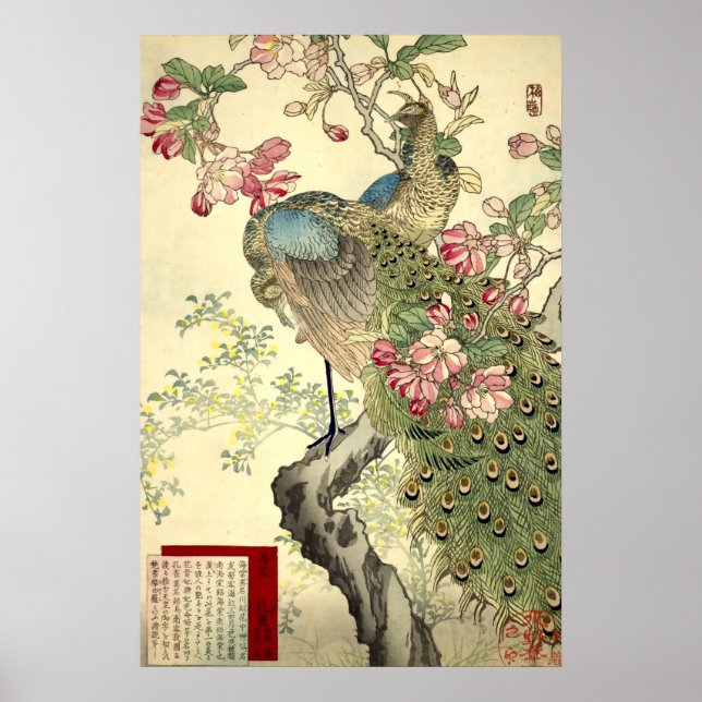 Poster Pavões & Maçã Japonesa Vintage (Frente)