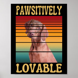 POSTER PAWSITIVAMENTE AMÁVEL