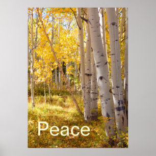 Poster Paz