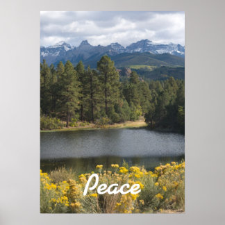 Poster Paz