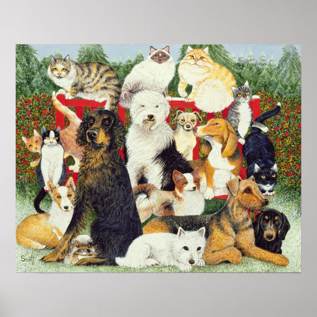 Póster Paz de Natal (Frente)