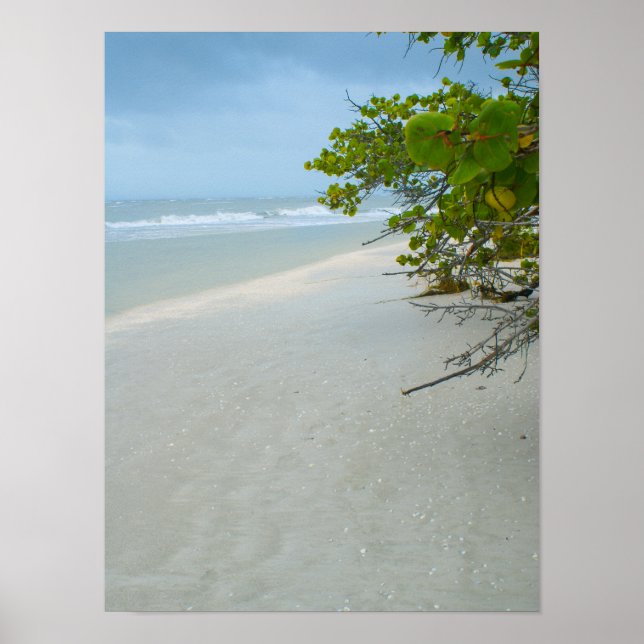 Póster Paz E Silêncio Na Ilha Sanibel (Frente)
