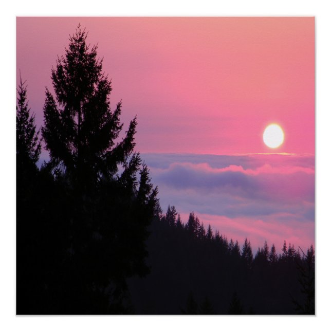 Póster Paz finalmente (Frente)