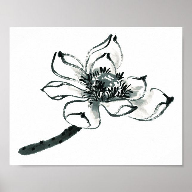 Póster Paz | Linda Watercolor Lotus (Frente)
