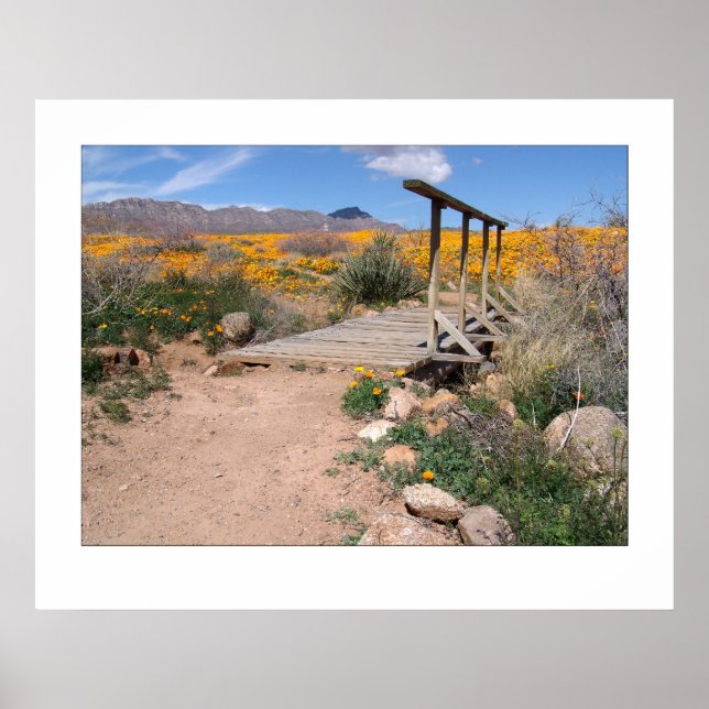 Póster Pé Bridge & Poppies (Frente)