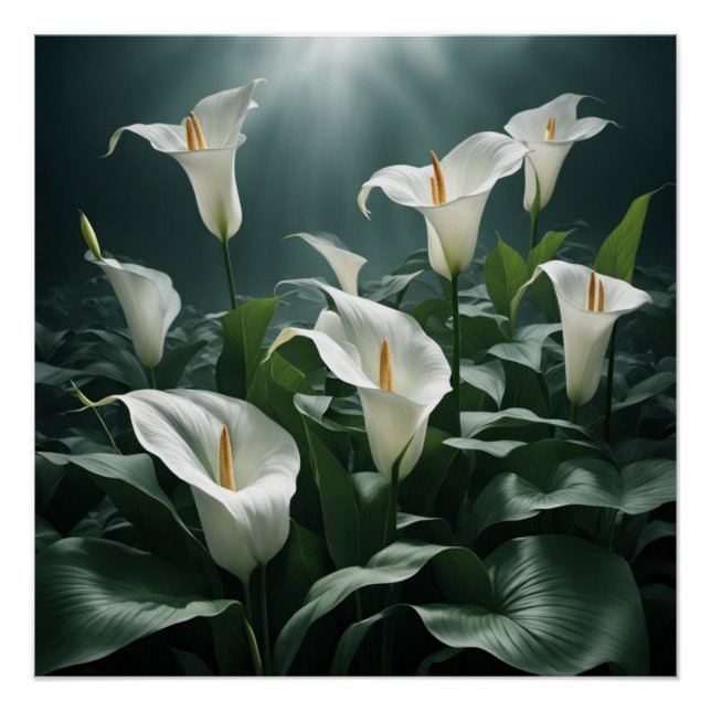 Póster peace lilies (Frente)