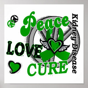 Póster Peace Love Cure 2 Kid Disease