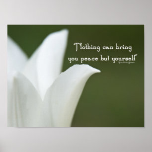 Poster Peace Tulip
